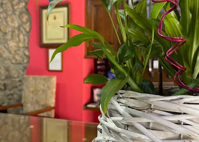 La Del Rey リャネス